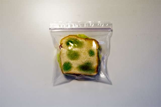 Щоб з офісного холодильника не пропав бутерброд (2 фото)