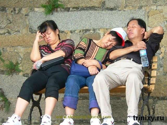 Сплячі китайці (102 фото)