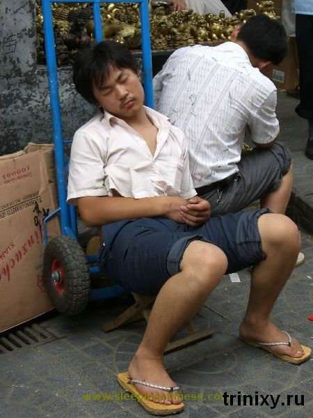 Сплячі китайці (102 фото)