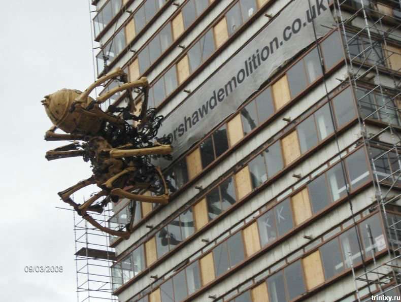 Гігантський павук в Ліверпулі (24 фото)