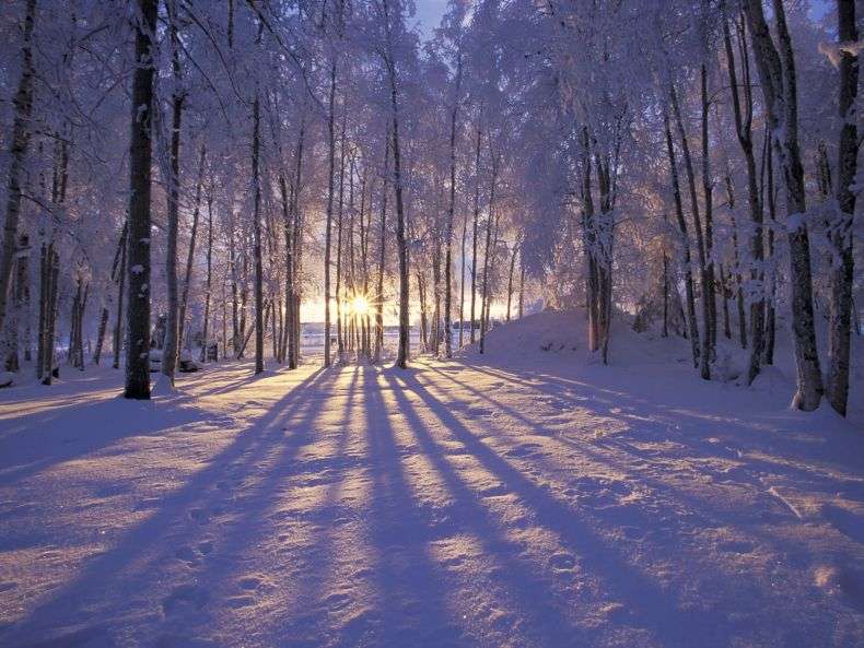 Красуня зима (40 фото)