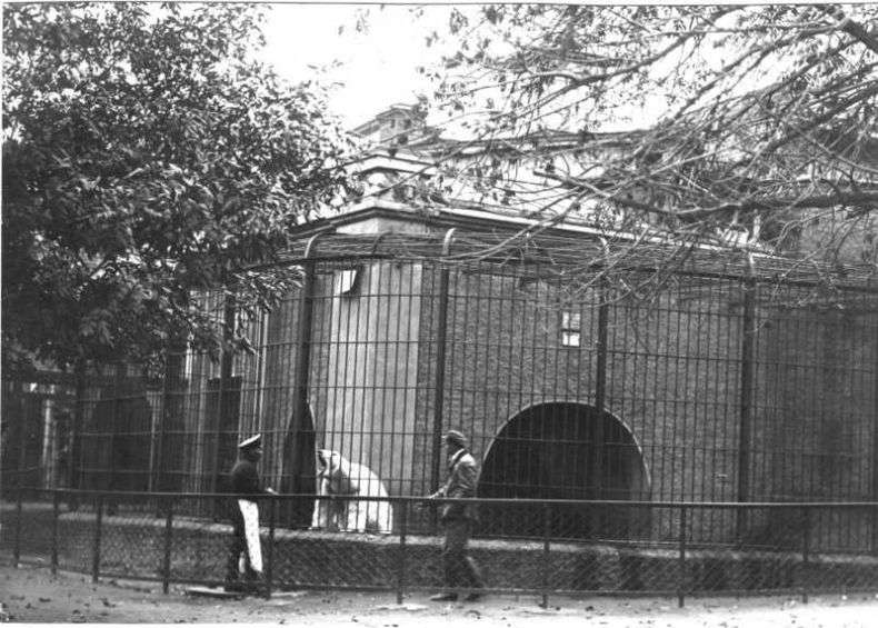 У Московському зоопарку 1920-50-х (з архіву Віри Чаплиной) (49 фото)