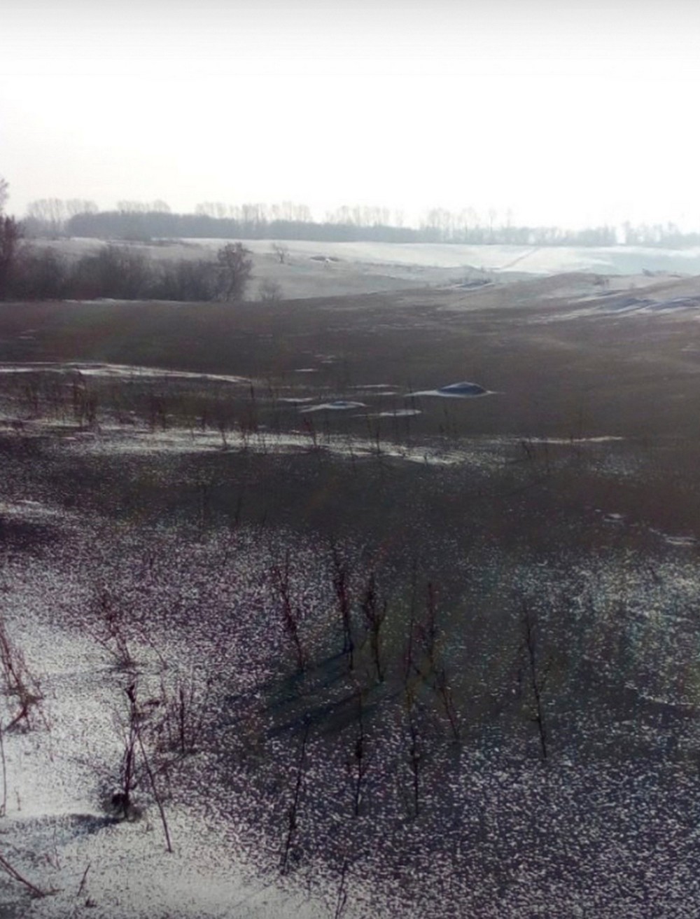Дышите глубже: черный снег в Кемеровской области МиР