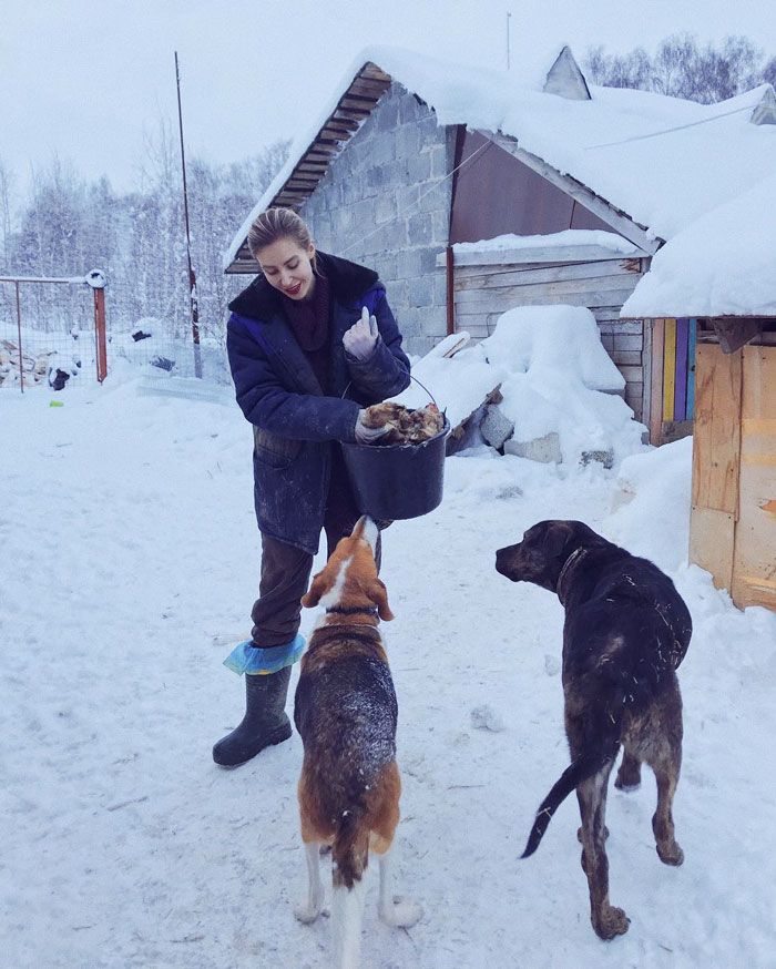 Москвичка и ее муж живут дикарями в сотнях километров от МКАД, чтобы заботиться о более сотни собак. МиР