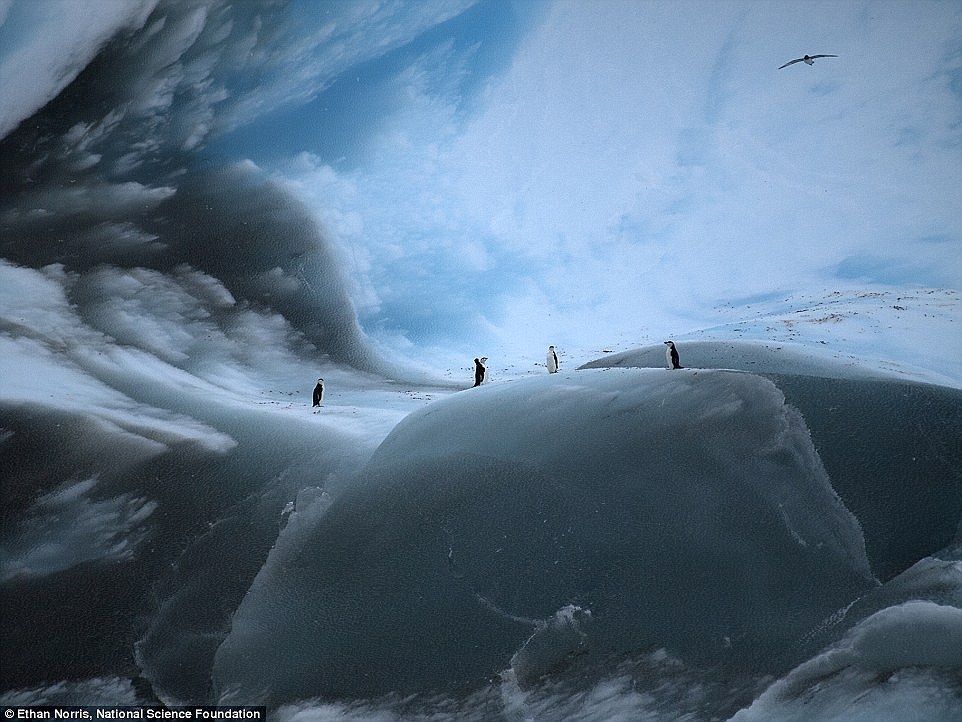 Cамые древние в мире айсберги 