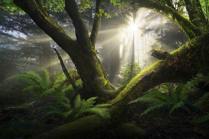 Наша потрясающая планета: 30 лучших пейзажей с конкурса Landscape Photographer Of The Year природа