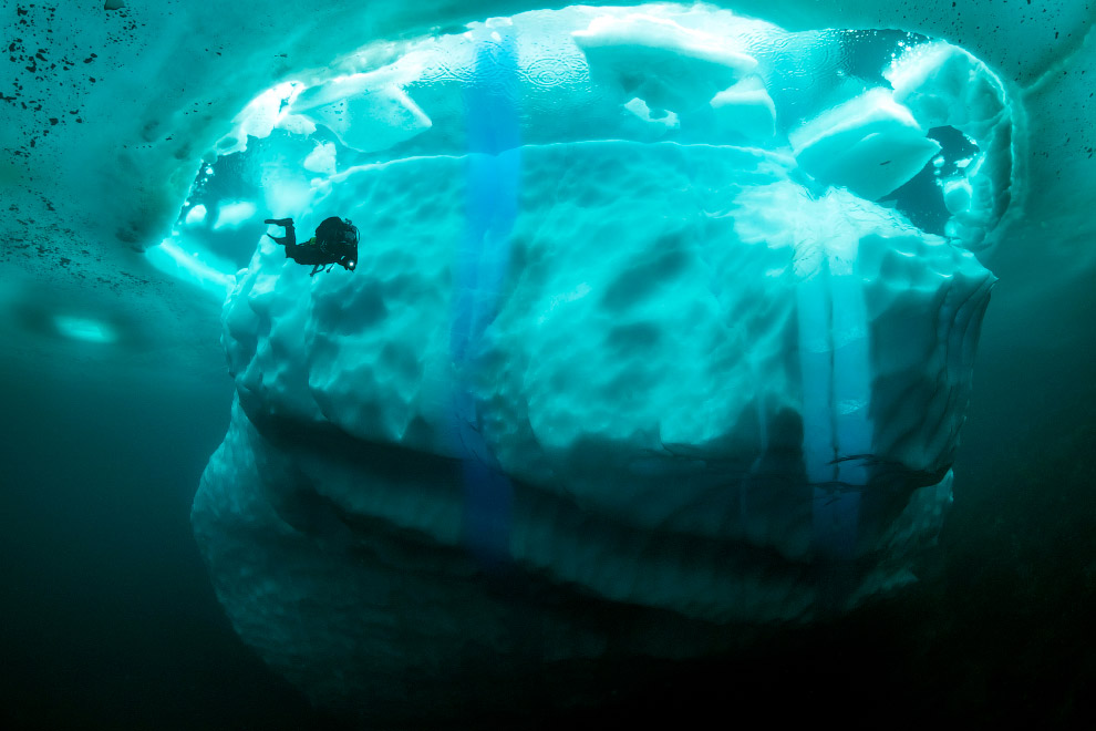 Вот как выглядят айсберги под водой 