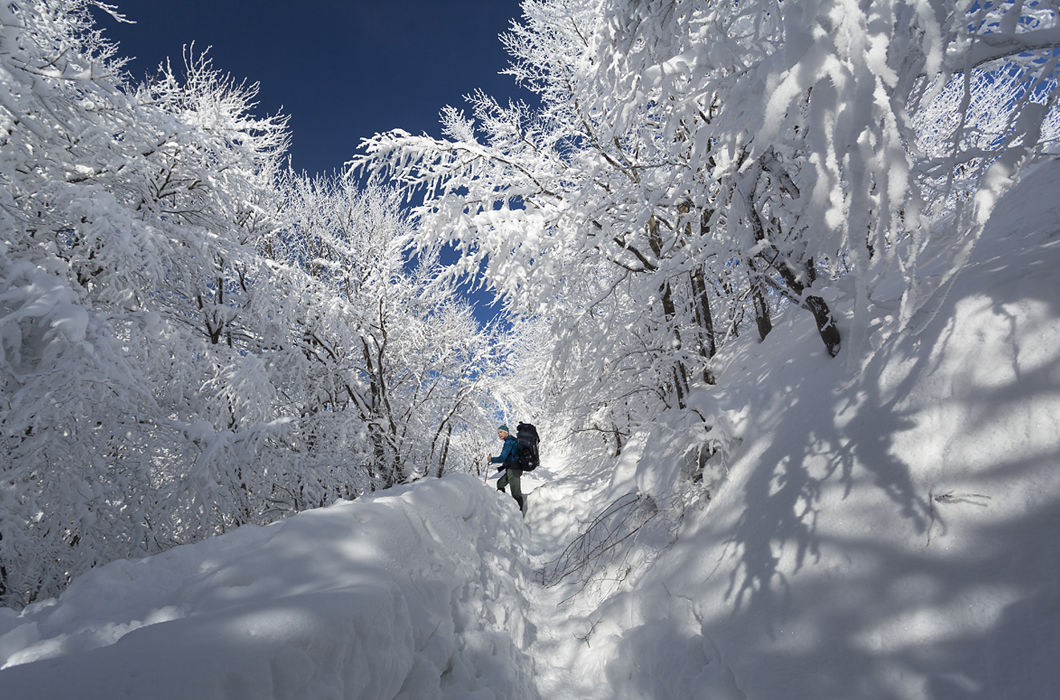 Завораживающая красота польских гор зимой Путешествия