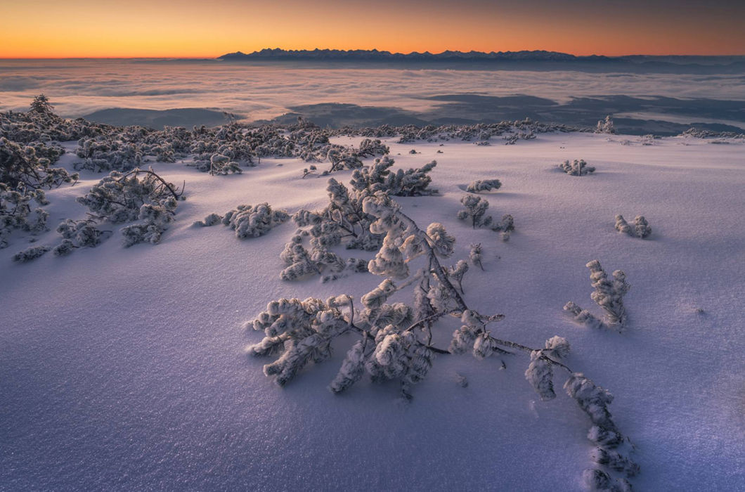 Завораживающая красота польских гор зимой Путешествия