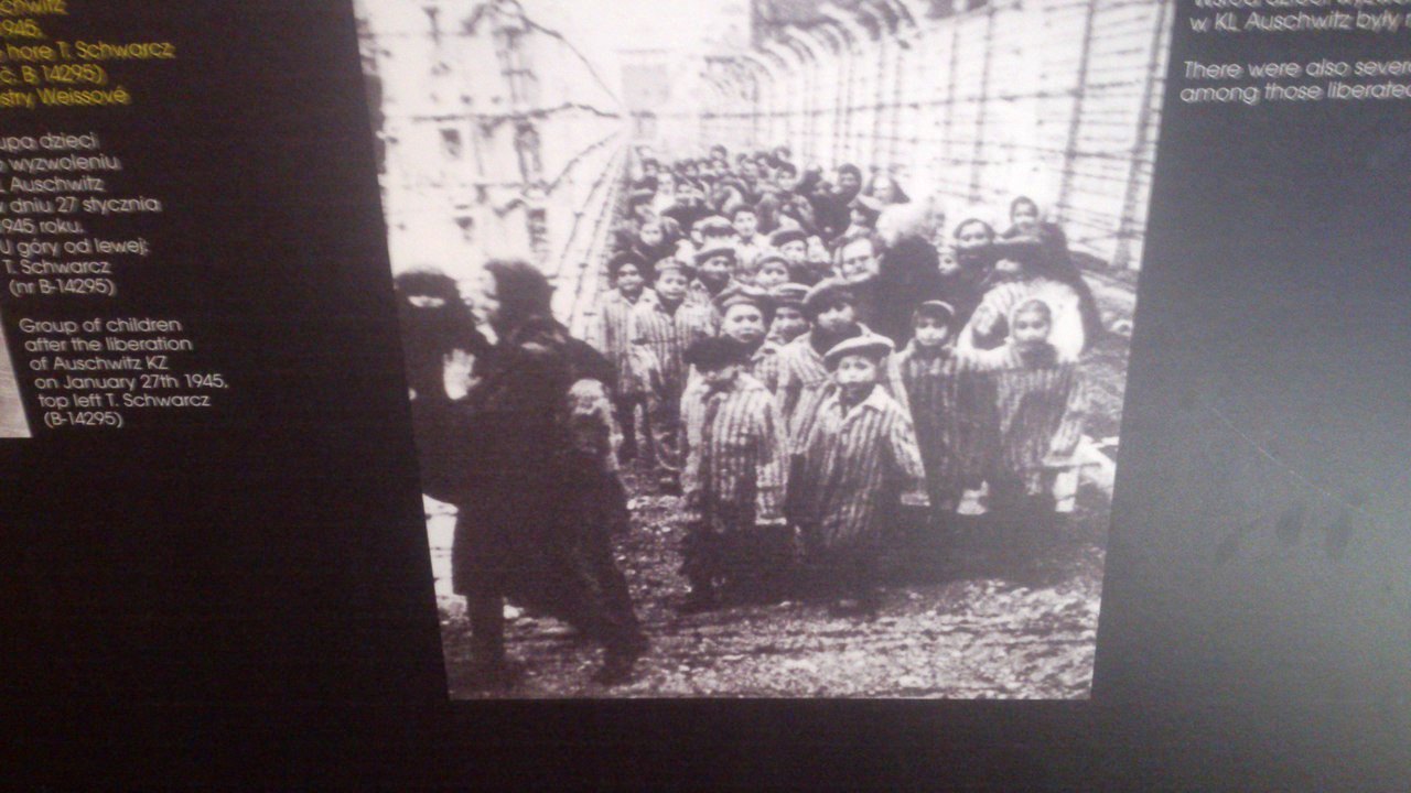 Поездка в Освенцим: город с тысячей шрамов 