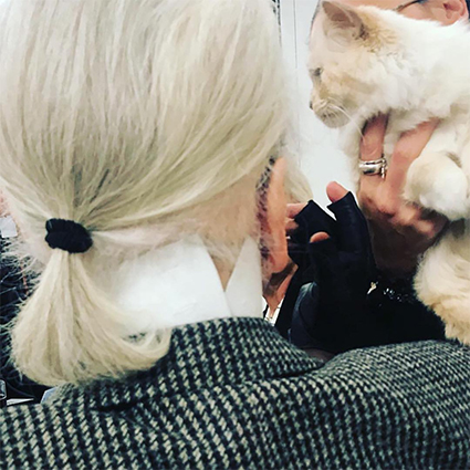 Шупетт осиротела: пользователи сети соболезнуют любимой кошке Карла Лагерфельда новости моды
